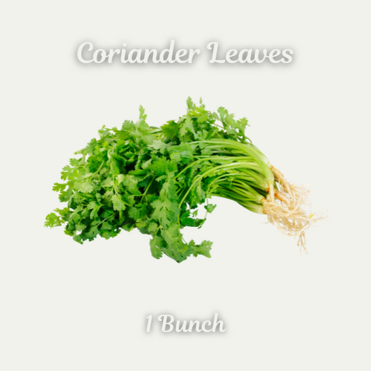 Coriander Leaves