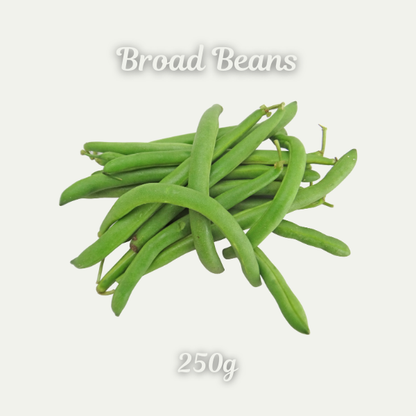 Broad Beans ( Chikkudukaya)