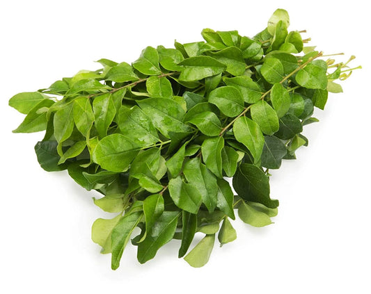 Curry Leaves (Karivepaaku)