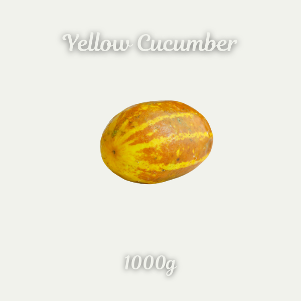 Yellow Cucumber ( Dosakaya )