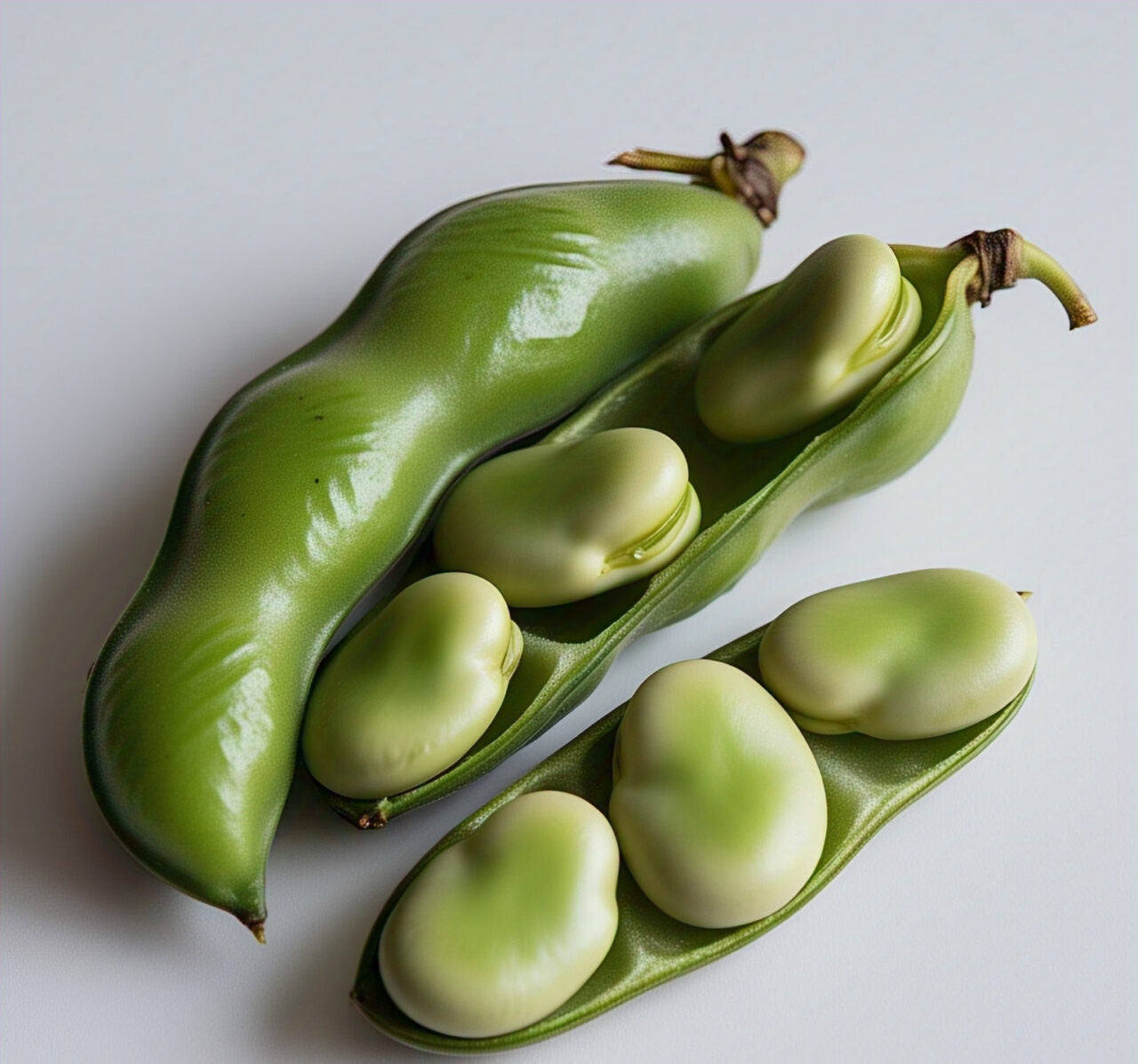 Broad Beans