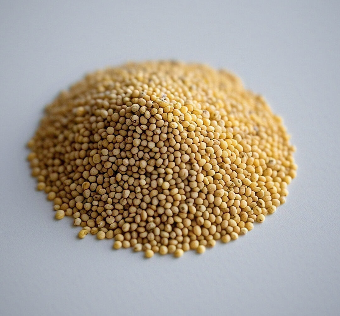 Browntop Millet