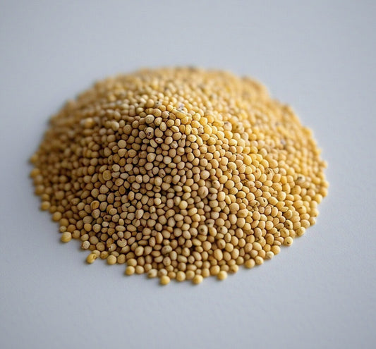 Browntop Millet