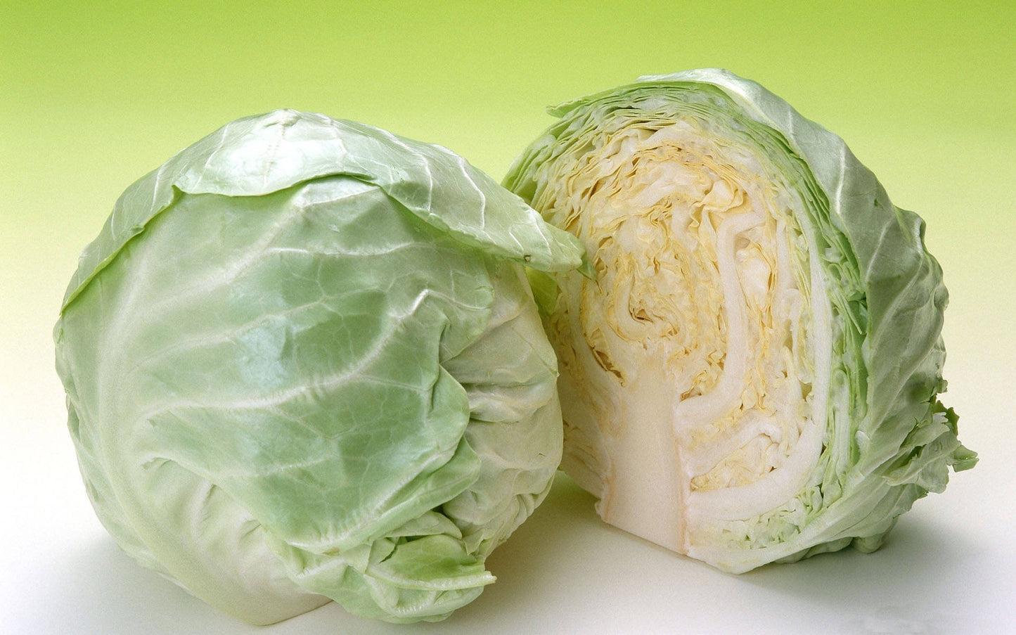 Cabbage