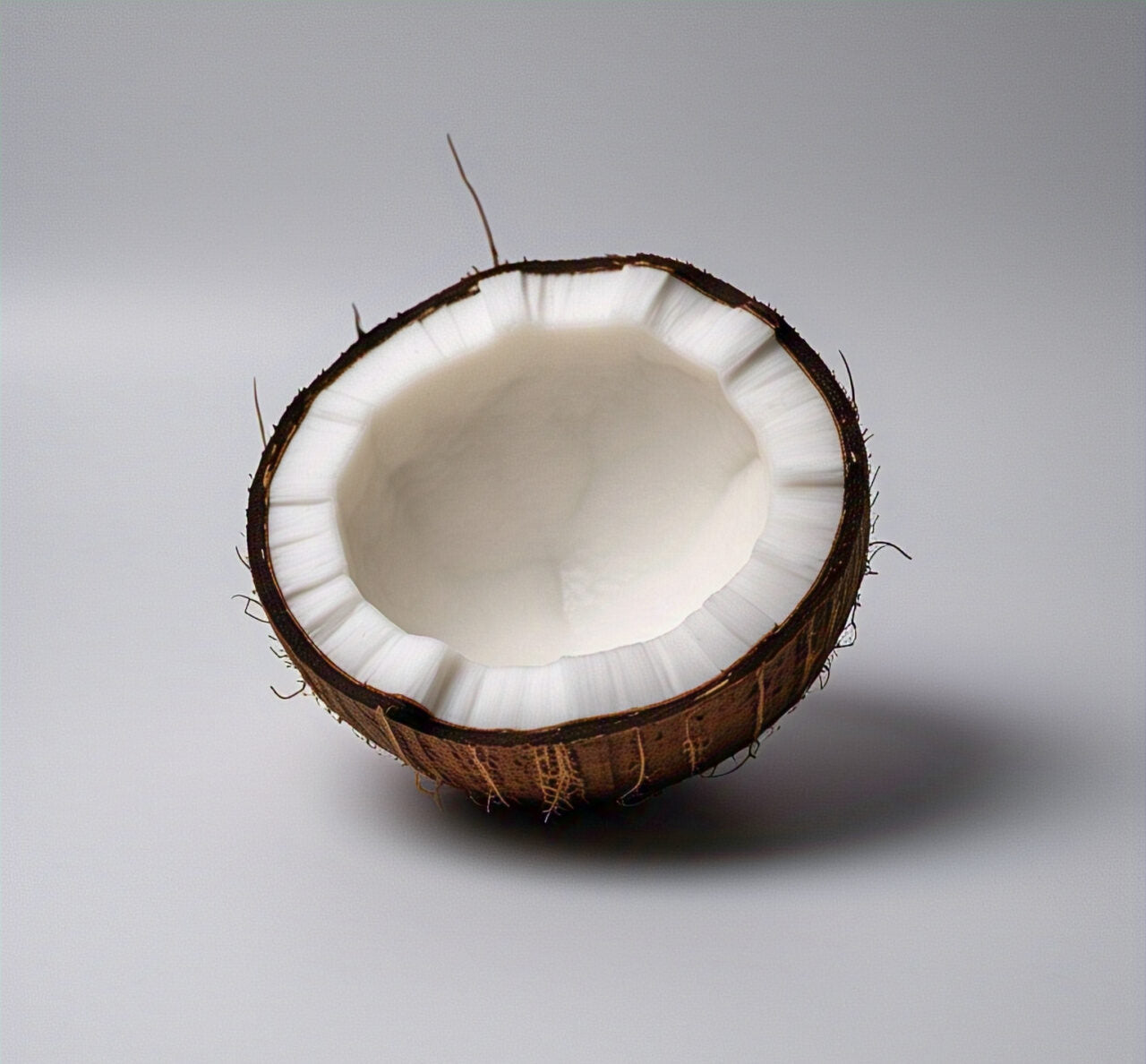 Coconut