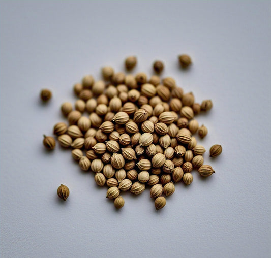 Coriander Seeds