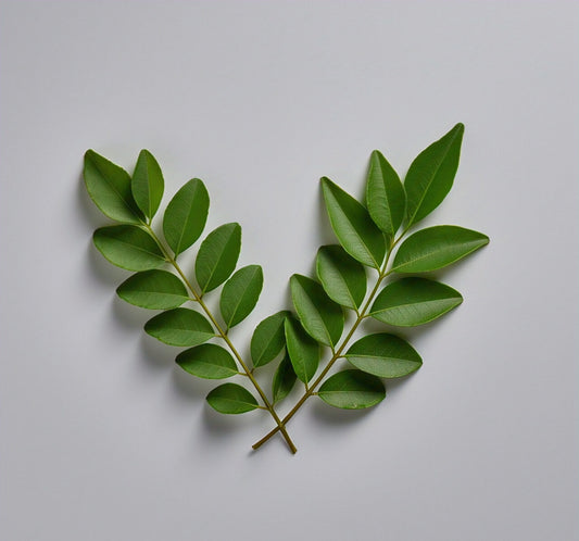 Curry Leaves (Karivepaaku)