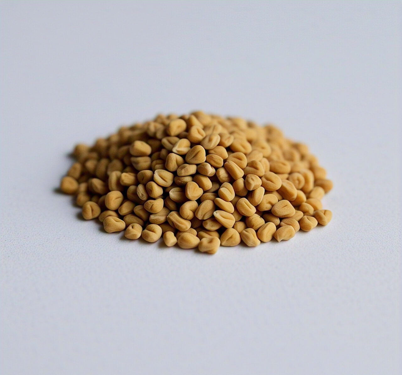 Fenugreek Seeds