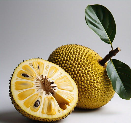 Jack Fruit