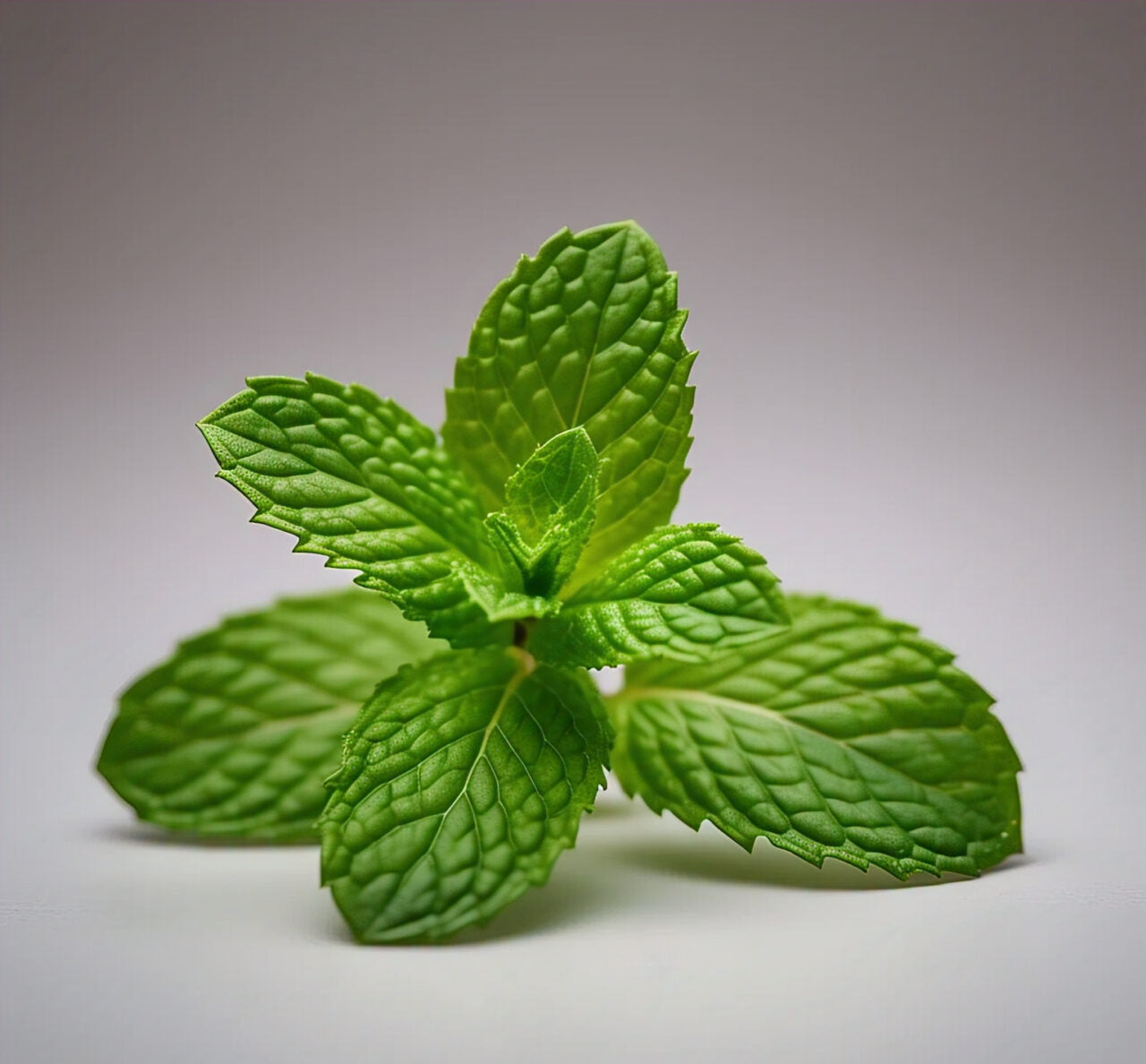 Mint Leaves (Pudina)