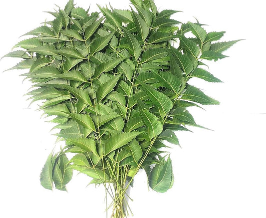 Neem Leaves