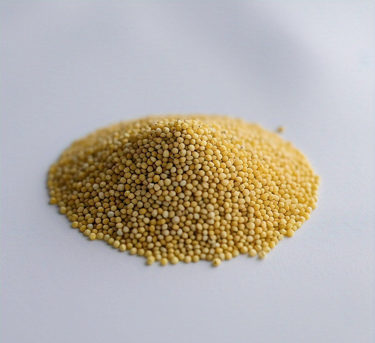 Pearl Millet