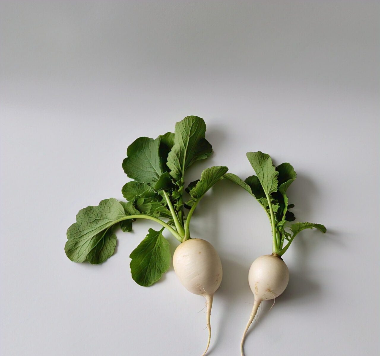 Radish (Mullangi)