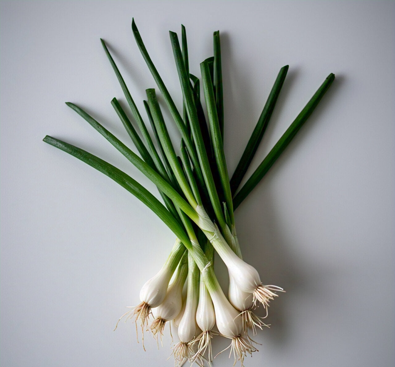 Spring Onions