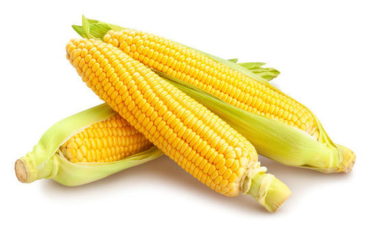 Sweet Corn