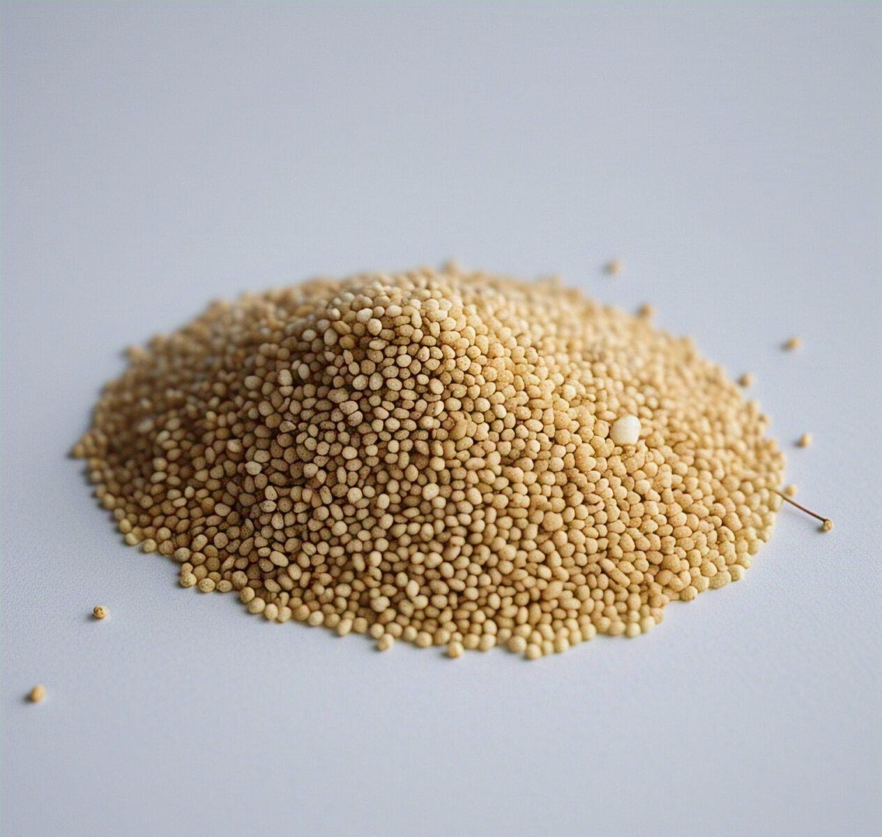 Teff Millet