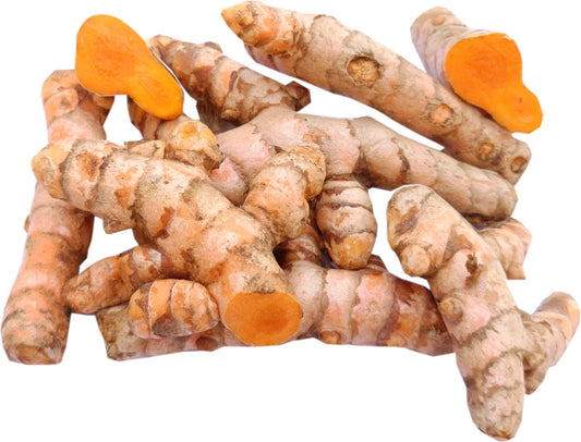 Turmeric Roots