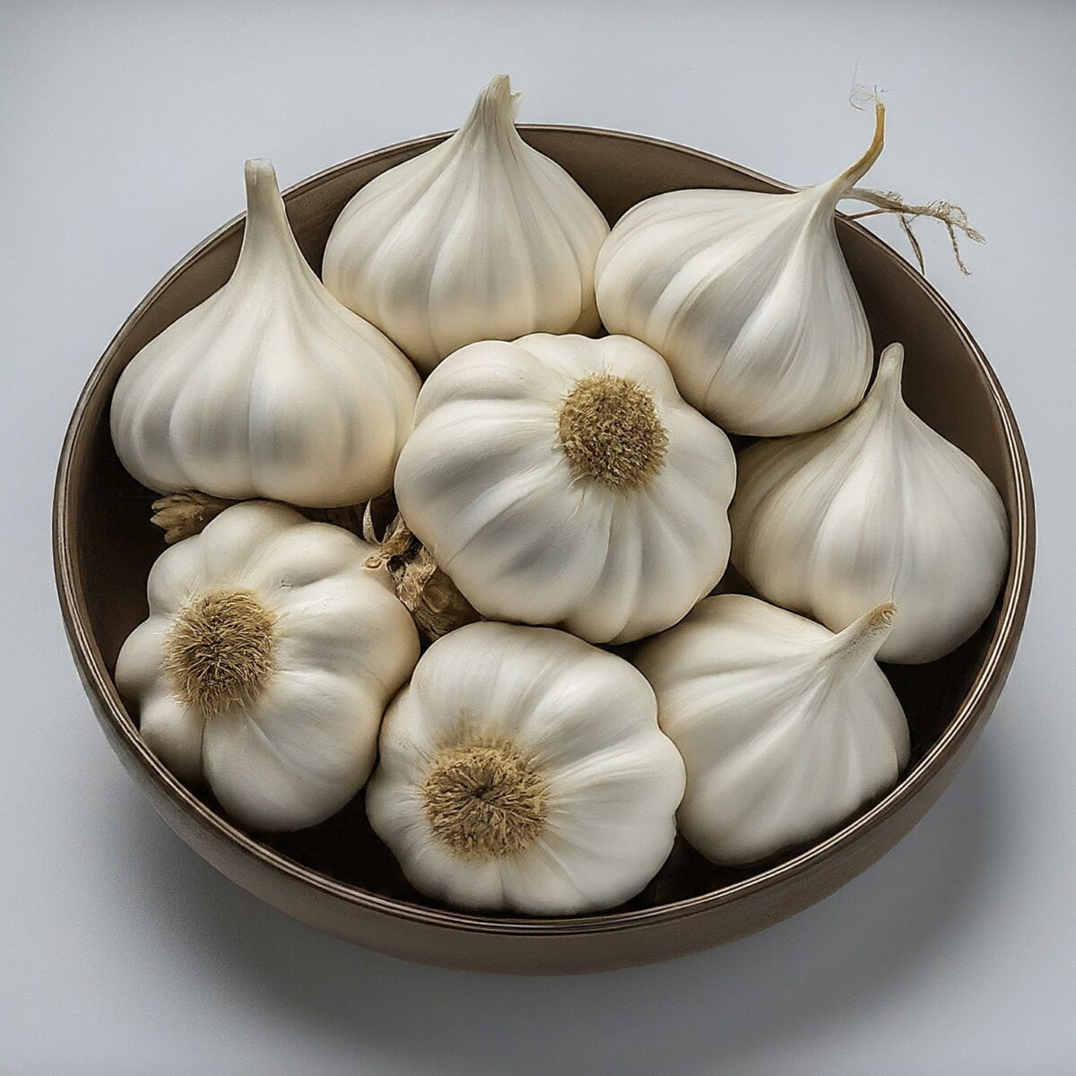 Garlic